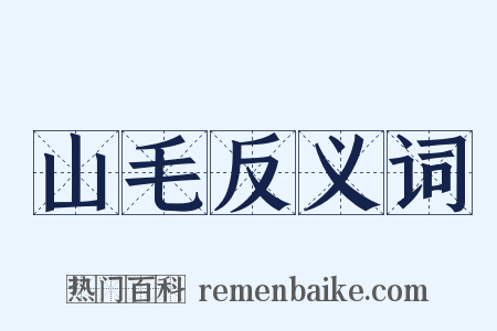 山毛反义词是什么意思的图片